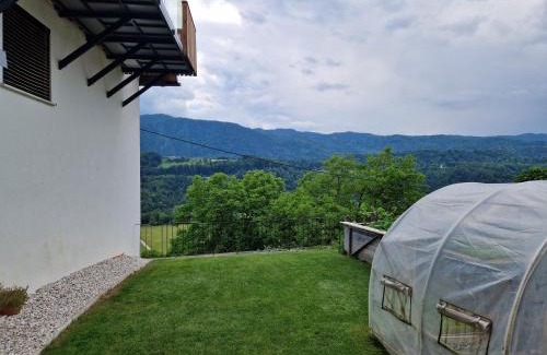 Radovljica House | Sobe Lotrist