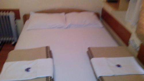 Central Serbia Hotel | SOBE za izdavanje BLEF