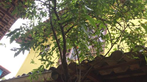 Albatroz House | Solar Glorinha