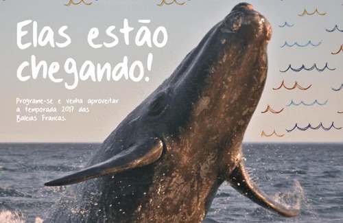Praia do Rosa Resort | Solar Mirador Exclusive Resort e SPA