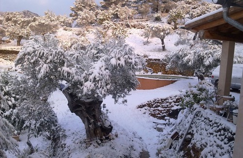 Caimari Cottage | SOLIVA.