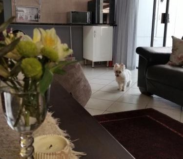 Somerset West Apartment | Somerset west Mountain road cottage
