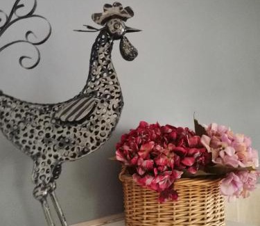 Somerset West Apartment | Somerset west Mountain road cottage