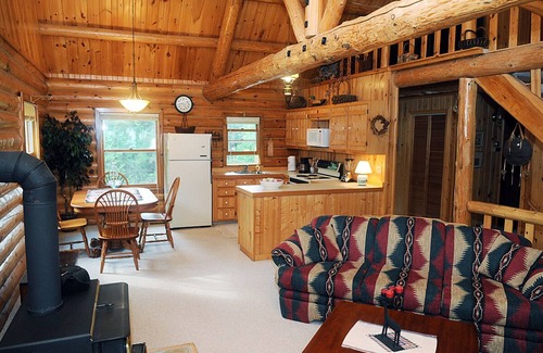 Bliss Township Cabin | Sommerset Lake House: A beautiful log cabin on Lake Michigan with sandy beach