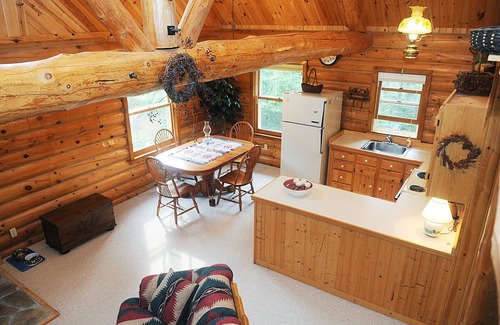 Bliss Township Cabin | Sommerset Lake House: A beautiful log cabin on Lake Michigan with sandy beach