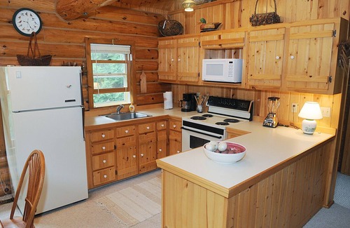 Bliss Township Cabin | Sommerset Lake House: A beautiful log cabin on Lake Michigan with sandy beach
