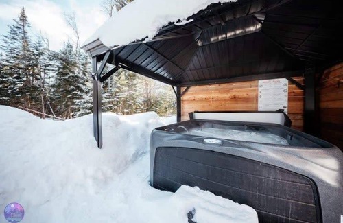Saint Come Ski Chalet | Sommet | spa | dogfriendly | ski in ski out