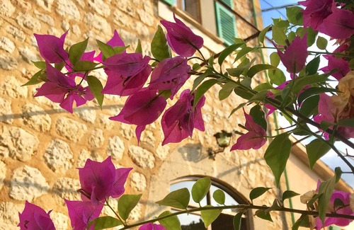 Soller House | Son Bota, traditional Mallorquin home with swimming pool in the heart of Soller