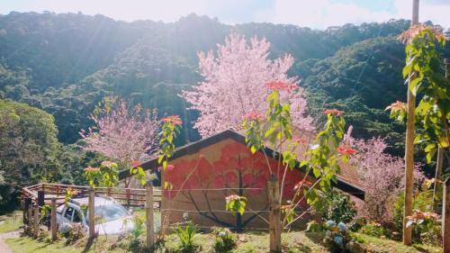 Goncalves Cabin | Sonho na Serra Chalé 1