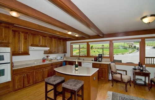 Santa Rosa Villa | Sonoma Mountain vineyard houe n30 minutes from Napa