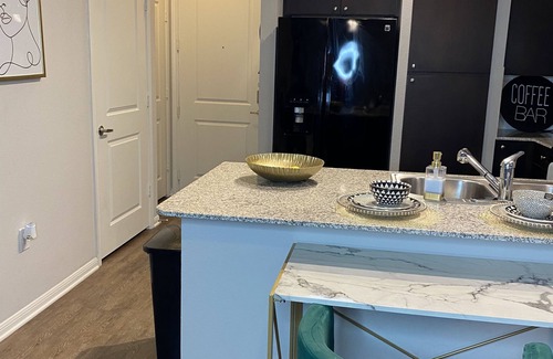 South Main Apartment | Sophisticated Haus- Houston Near NRG Stadium