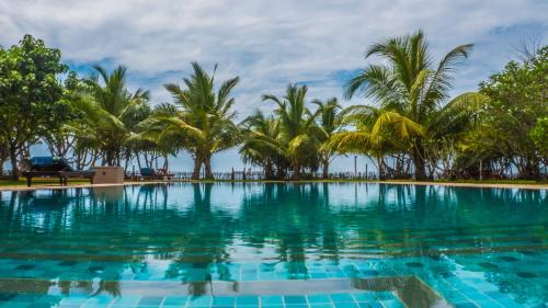 Maaliyadda Resort | Soul Wellness and Ayurveda Resort