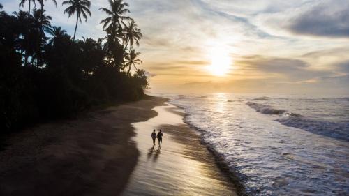 Maaliyadda Resort | Soul Wellness and Ayurveda Resort
