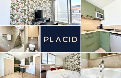 Mont-de-Marsan Apartment | Sous Les Tropiques - Clim - Parking - Central