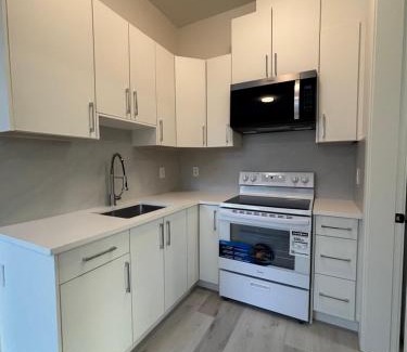 Surrey House | South surrey Secondary Suite with Kitchen
