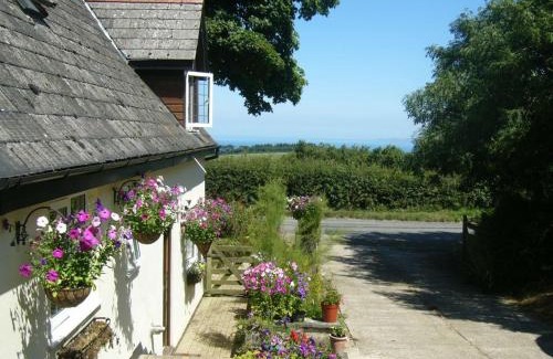 Hartland Bed & Breakfast | Southdown B&B