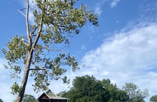 Glenwood Cabin | Southern Grace on The Caddo River!