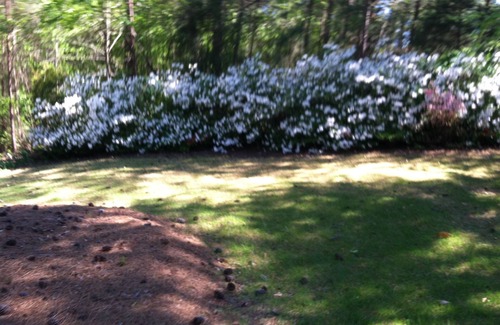McCormick House | Southern Living Home 4000 sqft on Lake Thurman two golf courses, tennis & pools.