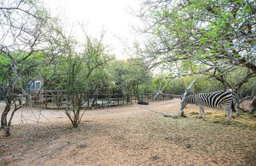 Marloth Park House | SouthernCross@Kruger