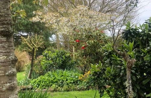 Waikana Bed & Breakfast | Southland Organic Farmstay