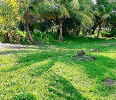 Point d'Or Villa | Spacieux haut de villa avec terrasse et jardin
