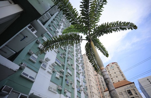 Valencia Condo | Spacious 1 Bedroom Loft Type Unit near the Mall