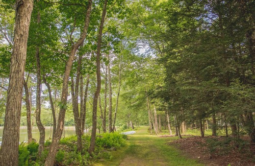 Reeders Cabin | Spacious 3 Bedroom Lake View Cabin, covered porch for BBQ