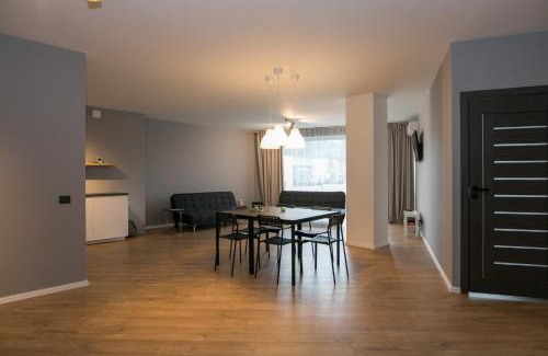 Birstonas Apartment | Spacious and sunny apartment in Birstonas center