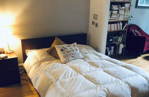 De Lorimier Apartment | Spacious and unique appartment in the heart of the Plateau Mont-Royal