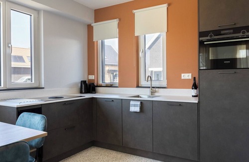 Nieuwvliet Apartment | Spacious apartment for 4 people, with various facilities for your dog