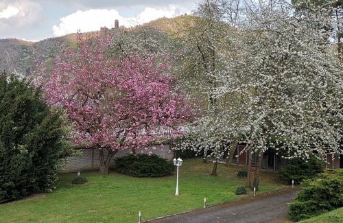 Sankt Goar Apartment | Spacious apartment for 4 people in St. Goar. Hiking, cycling, boating, Loreley