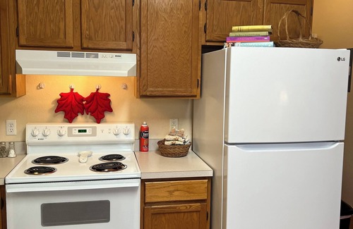 Milan Apartment | Spacious Apt in Vibrant Downtown Milan Michigan, Between Ann Arbor and Detroit