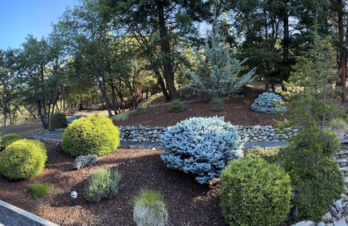 Jacksonville House | Spacious Beautiful Home in Forest, Mountain Views, 5 Min. to Jacksonville, PETS!