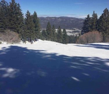 Big Bear Ski Chalet | Spacious cozy chalet huge deck over seasonal creek