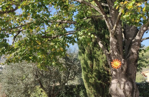 Peymeinade Apartment | Spacious garden apartment ideal for weekly stays