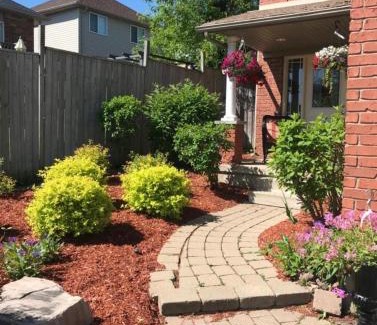 Orangeville House | Spacious room for rent
