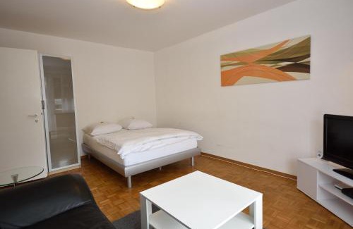 Muhlebach Apartment | Spacious studio near lake and opera - Mill 512