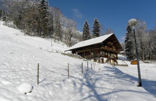 Val d'Illiez Bed & Breakfast | Spacious Swiss Alpine Chalet for Nature Lovers