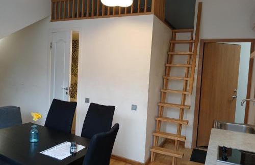 Liberty Avenue Apartment | Spacy apartment on Laisves avenue