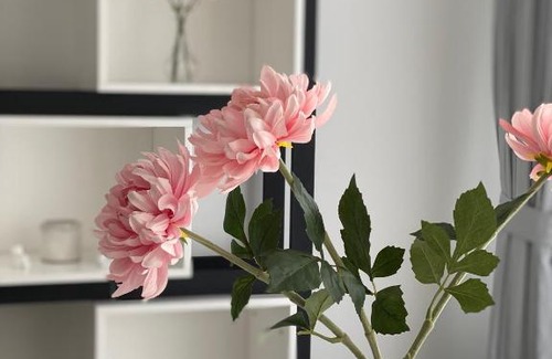 Holweide Apartment | Spanien Flair mitten in Köln 4