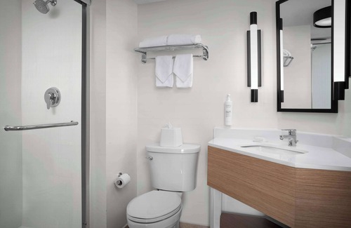 Tampa Hotel | Spark by Hilton Tampa Brandon