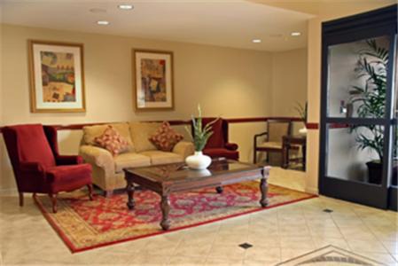 Yucca Valley Hotel | Spark by Hilton Yucca Valley Joshua Tree