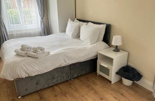 Evelyn Bed & Breakfast | Specious Studio Flats