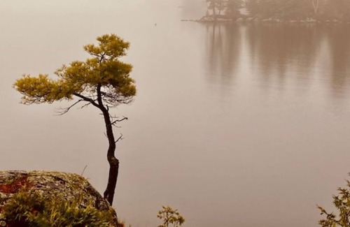 Utterson Cottage | Spectacular Boathouse on Beautiful Skeleton Lake in Porcupine Bay