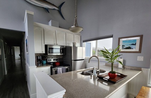 Sereno del Mar House | Spectacular Ocean Views! Newly renovated! Game room w/ TV & Pool table, Fire Pit