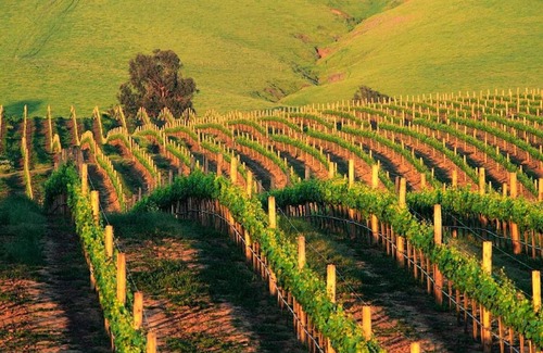 Napa Apartment | Spectacular Stay at Silverado in Napa