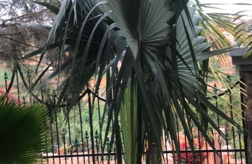 Kigali House | Spectacularly Beautiful Home At Stones and Palms