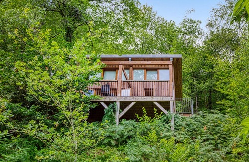 Mirandol-Bourgnounac House | Spend a lovely break close to nature in this holiday home with access to the pool.