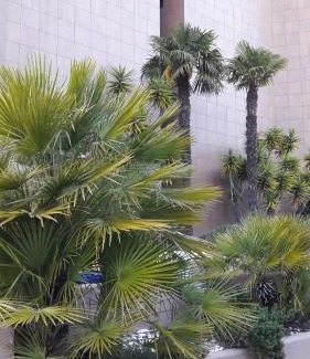 Ceriale Apartment | Spiaggia Serena - con giardino e box a 10 mt dal mare