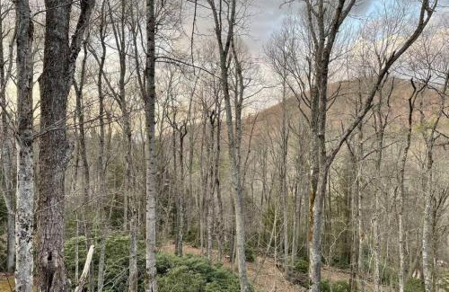 Boone House | Sprawling Blowing Rock Escape with Theater and Hot Tub